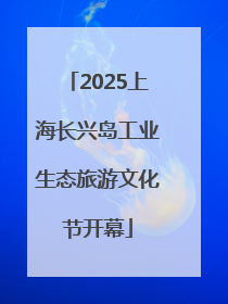 2025上海长兴岛工业生态旅游文化节开幕
