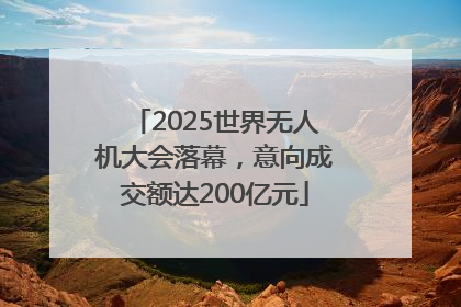 2025世界无人机大会落幕，意向成交额达200亿元
