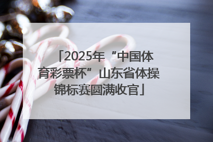2025年“中国体育彩票杯”山东省体操锦标赛圆满收官
