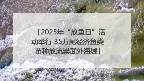 2025年“放鱼日”活动举行 35万尾经济鱼类苗种放流崇武外海域