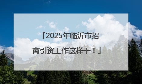 2025年临沂市招商引资工作这样干！