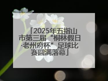 2025年五指山市第三届“桐林假日·老州府杯”足球比赛圆满落幕