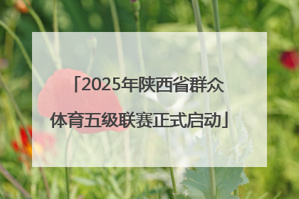2025年陕西省群众体育五级联赛正式启动