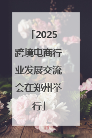 2025跨境电商行业发展交流会在郑州举行