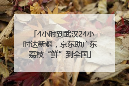 4小时到武汉24小时达新疆，京东助广东荔枝“鲜”到全国