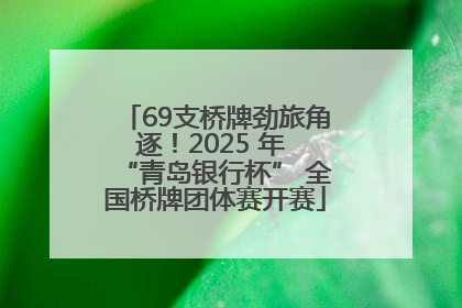 69支桥牌劲旅角逐！2025 年 “青岛银行杯” 全国桥牌团体赛开赛