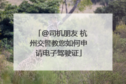 @司机朋友 杭州交警教您如何申请电子驾驶证