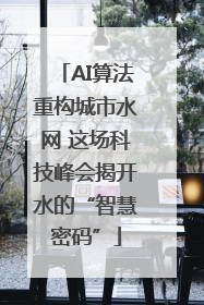AI算法重构城市水网 这场科技峰会揭开水的“智慧密码”
