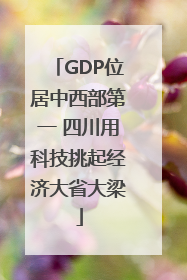 GDP位居中西部第一 四川用科技挑起经济大省大梁