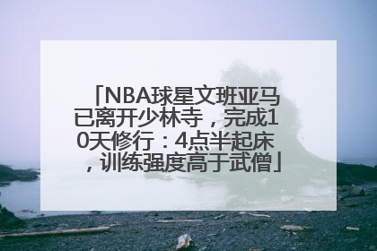 NBA球星文班亚马已离开少林寺，完成10天修行：4点半起床，训练强度高于武僧
