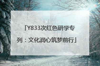 Y833次红色研学专列：文化润心筑梦前行