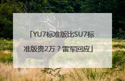 YU7标准版比SU7标准版贵2万？雷军回应
